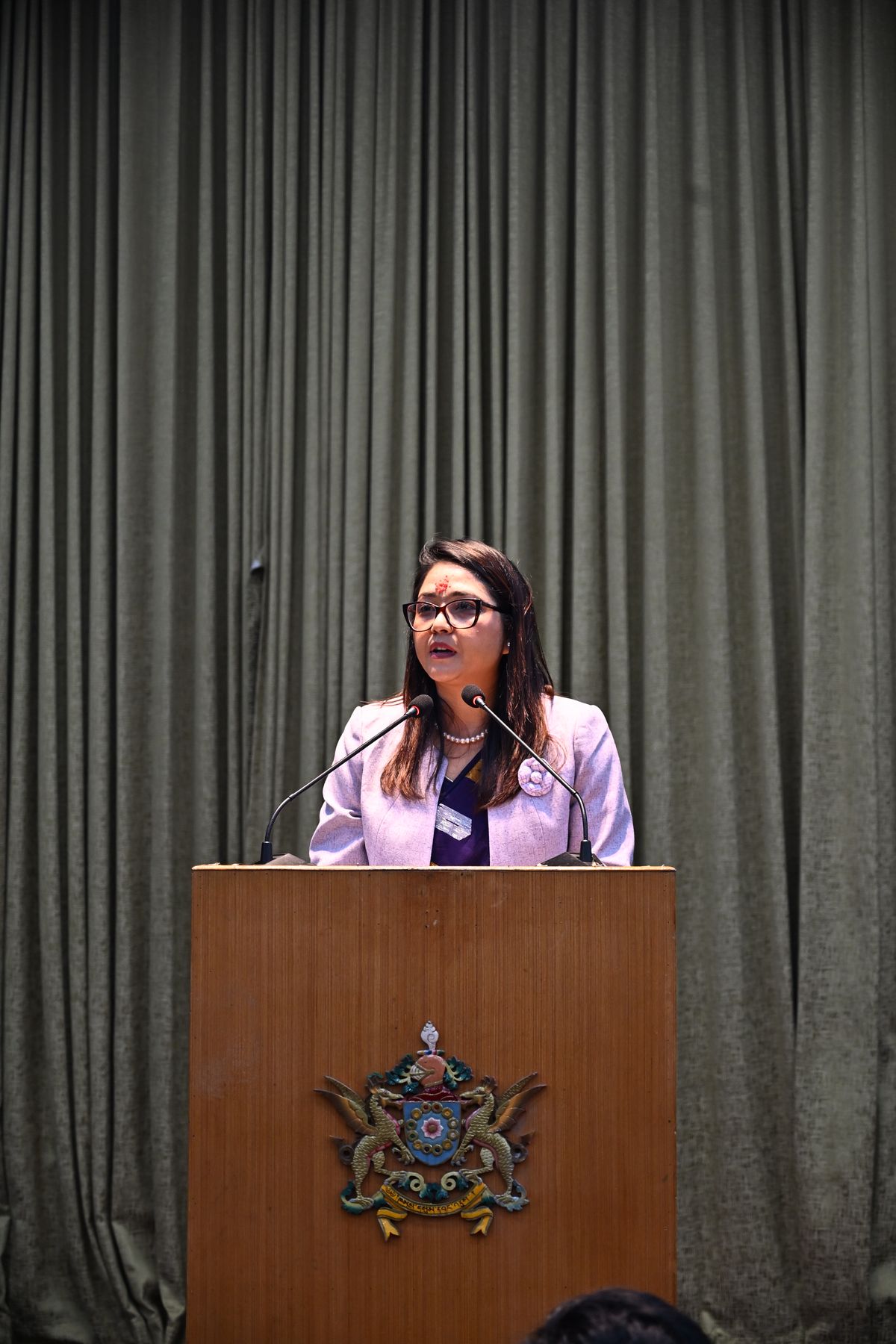 A member speaks from the podium